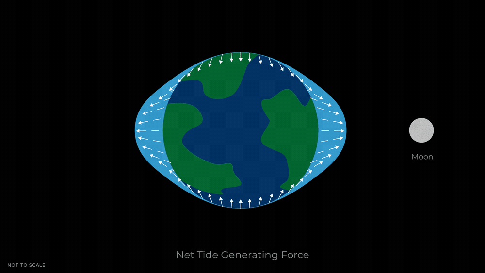 Animation of the net tide-generating force the Moon exerts on Earth